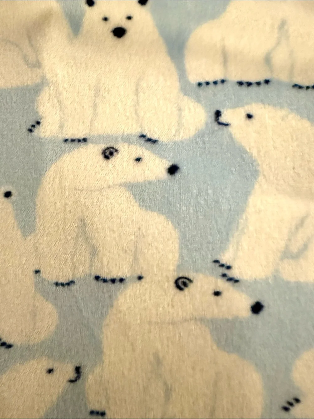 Kids’ Polar Bear Print Microfleece Holiday Pajamas by Wondershop - size 12 kids